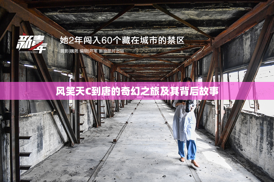 风笑天C到唐的奇幻之旅及其背后故事