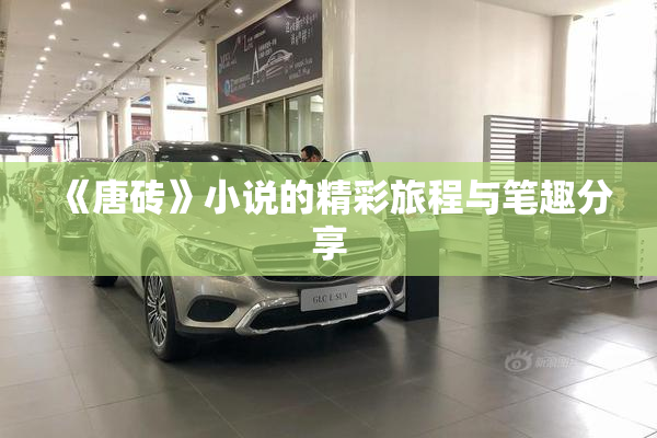 《唐砖》小说的精彩旅程与笔趣分享