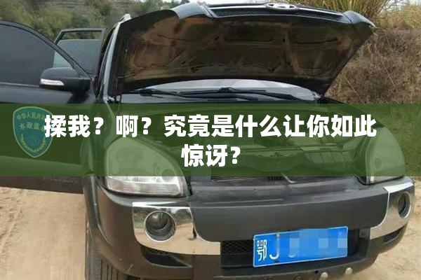 揉我？啊？究竟是什么让你如此惊讶？