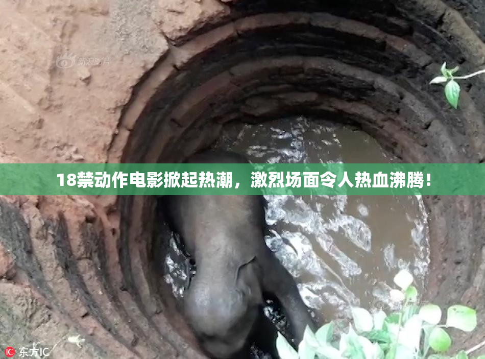 18禁动作电影掀起热潮，激烈场面令人热血沸腾！