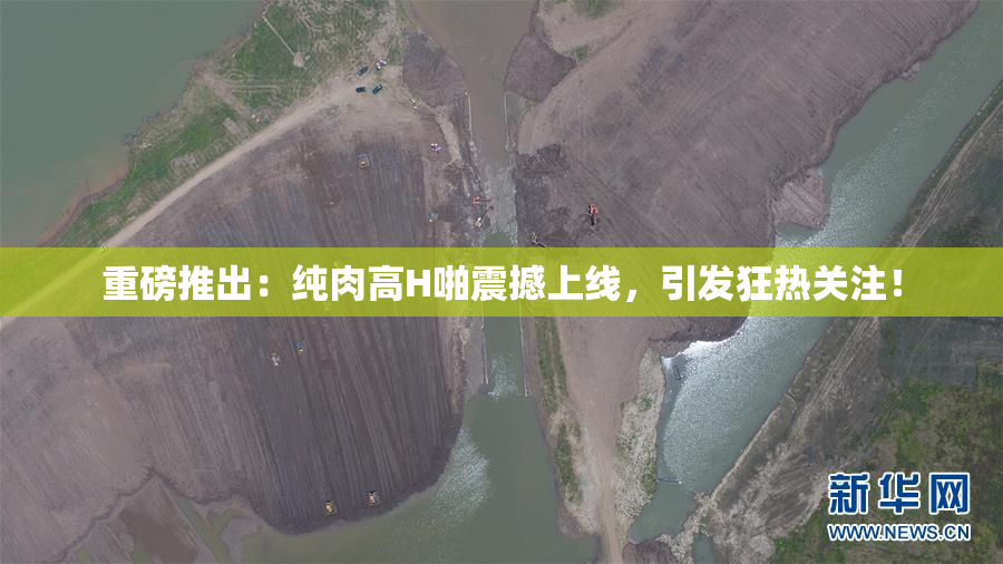 重磅推出：纯肉高H啪震撼上线，引发狂热关注！