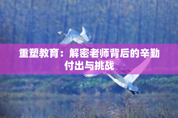 重塑教育：解密老师背后的辛勤付出与挑战