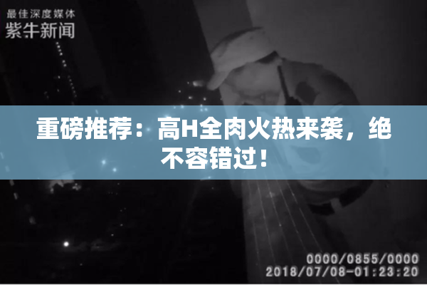 重磅推荐：高H全肉火热来袭，绝不容错过！