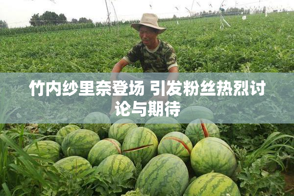 竹内纱里奈登场 引发粉丝热烈讨论与期待