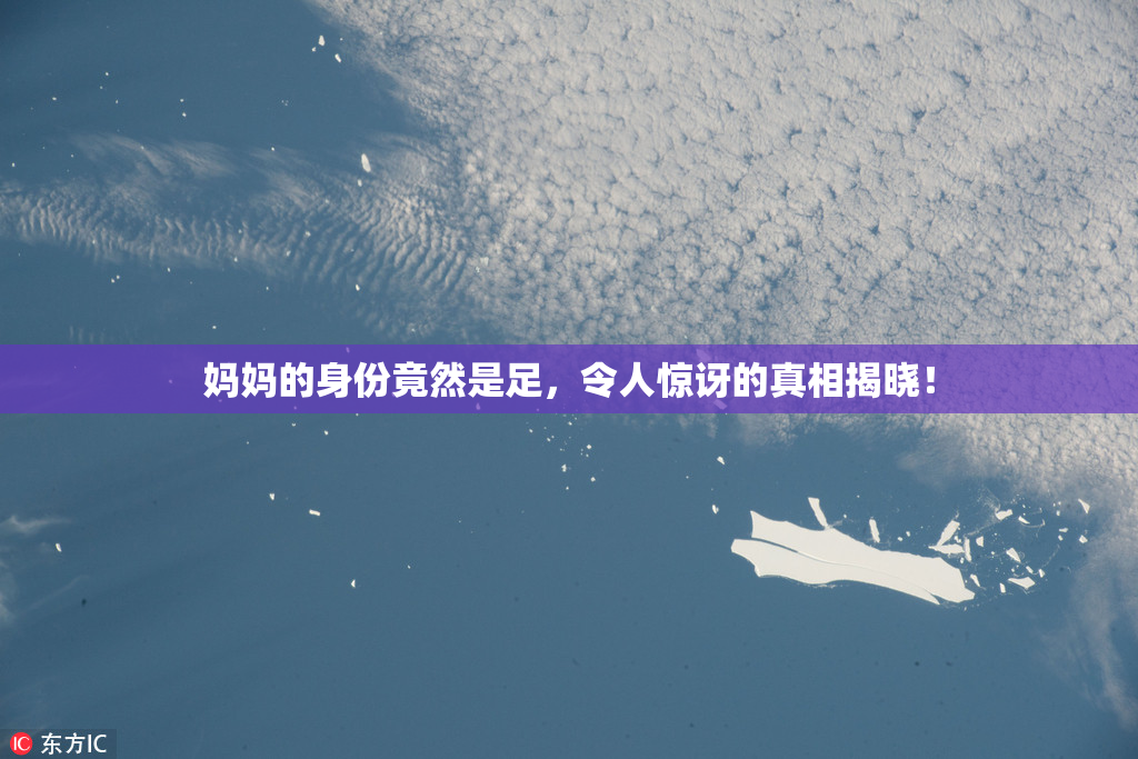 妈妈的身份竟然是足，令人惊讶的真相揭晓！