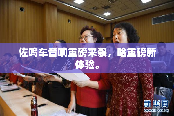 佐鸣车音响重磅来袭，哈重磅新体验。