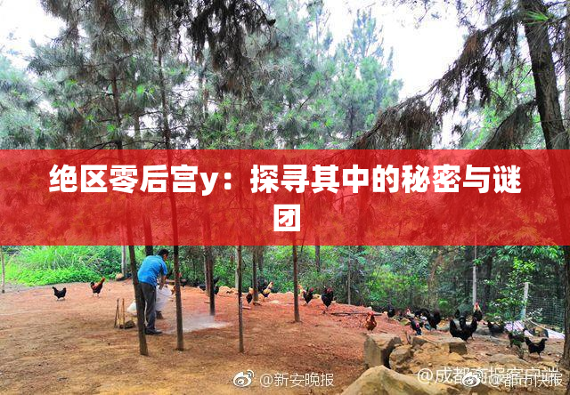 绝区零后宫y：探寻其中的秘密与谜团