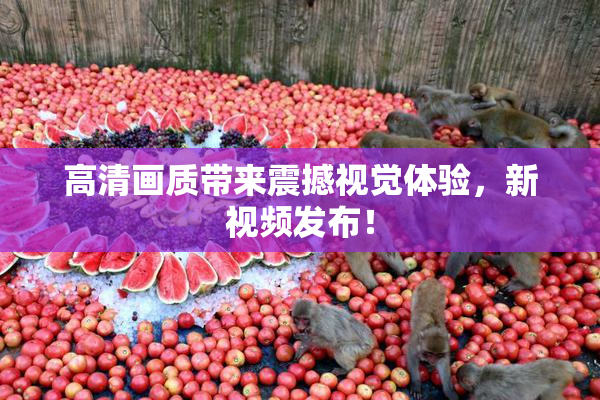高清画质带来震撼视觉体验，新视频发布！