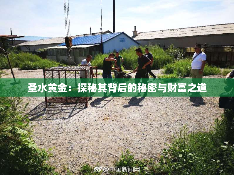 圣水黄金：探秘其背后的秘密与财富之道