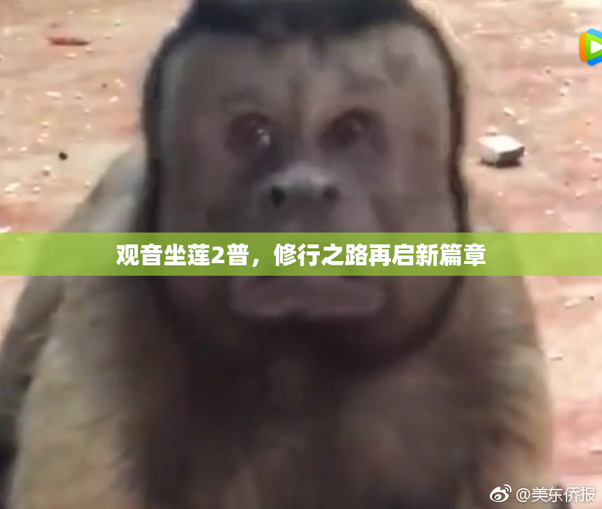 观音坐莲2普，修行之路再启新篇章