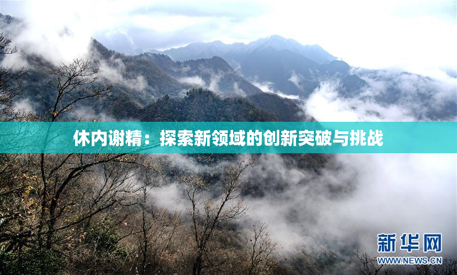 休内谢精：探索新领域的创新突破与挑战