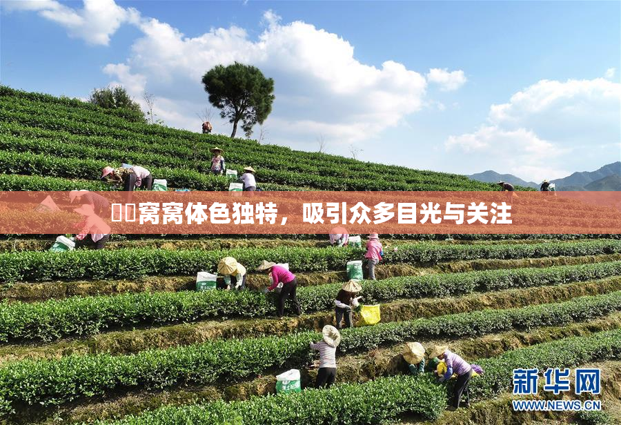 妺妺窝窝体色独特，吸引众多目光与关注