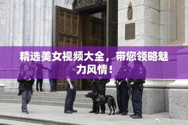 精选美女视频大全，带您领略魅力风情！