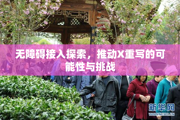 无障碍接入探索，推动X重写的可能性与挑战