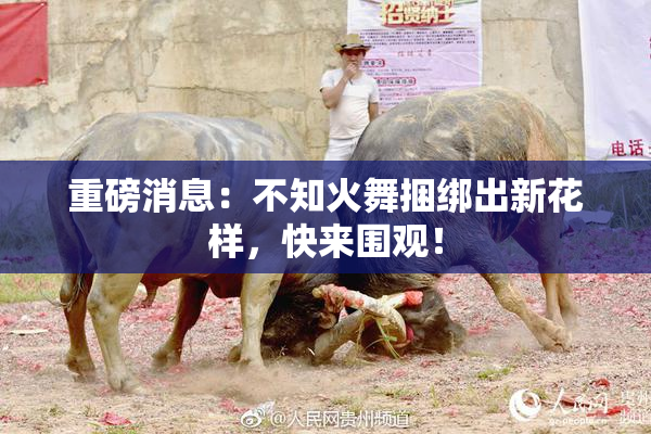 重磅消息：不知火舞捆绑出新花样，快来围观！