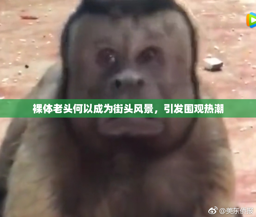 裸体老头何以成为街头风景，引发围观热潮