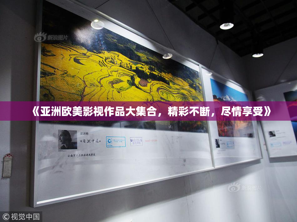 《亚洲欧美影视作品大集合，精彩不断，尽情享受》