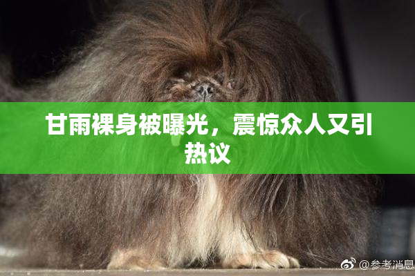 甘雨裸身被曝光，震惊众人又引热议