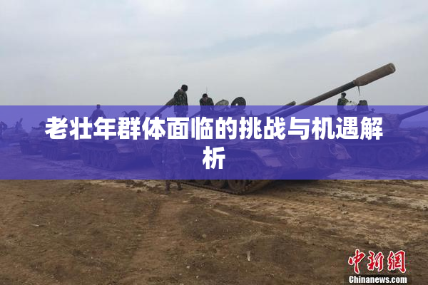 老壮年群体面临的挑战与机遇解析