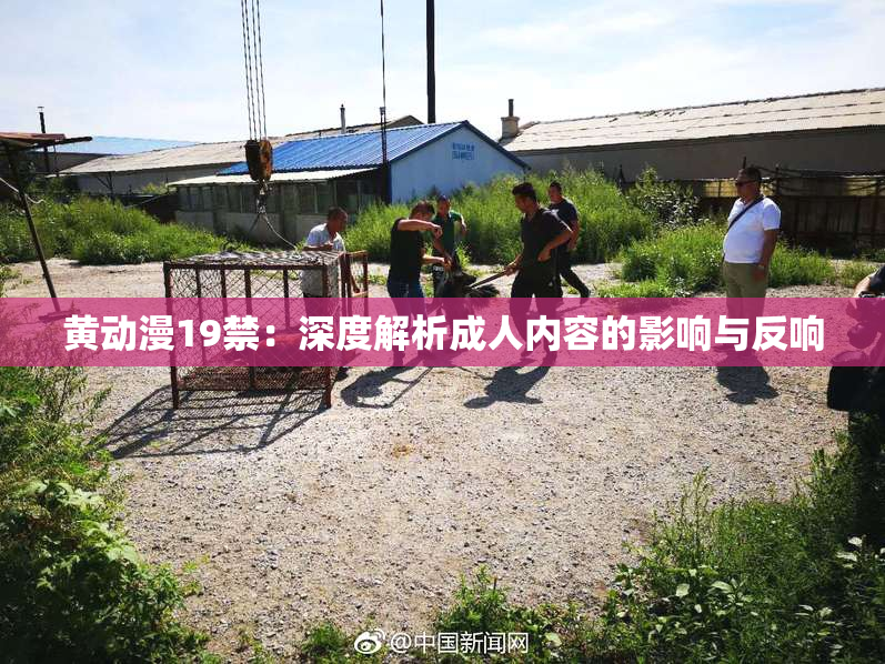黄动漫19禁：深度解析成人内容的影响与反响