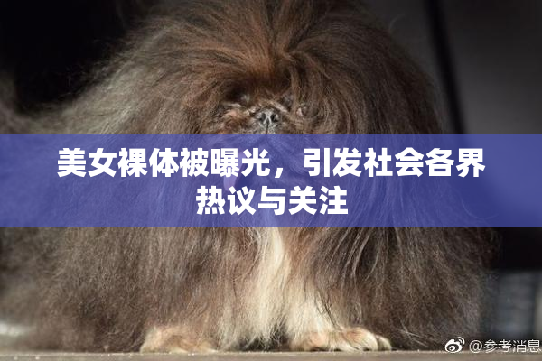 美女裸体被曝光，引发社会各界热议与关注