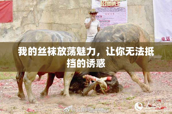 我的丝袜放荡魅力，让你无法抵挡的诱惑