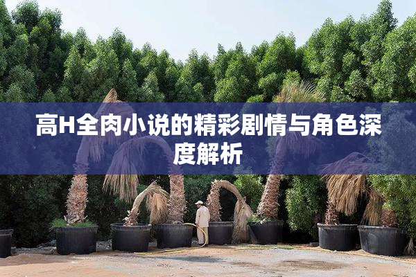 高H全肉小说的精彩剧情与角色深度解析