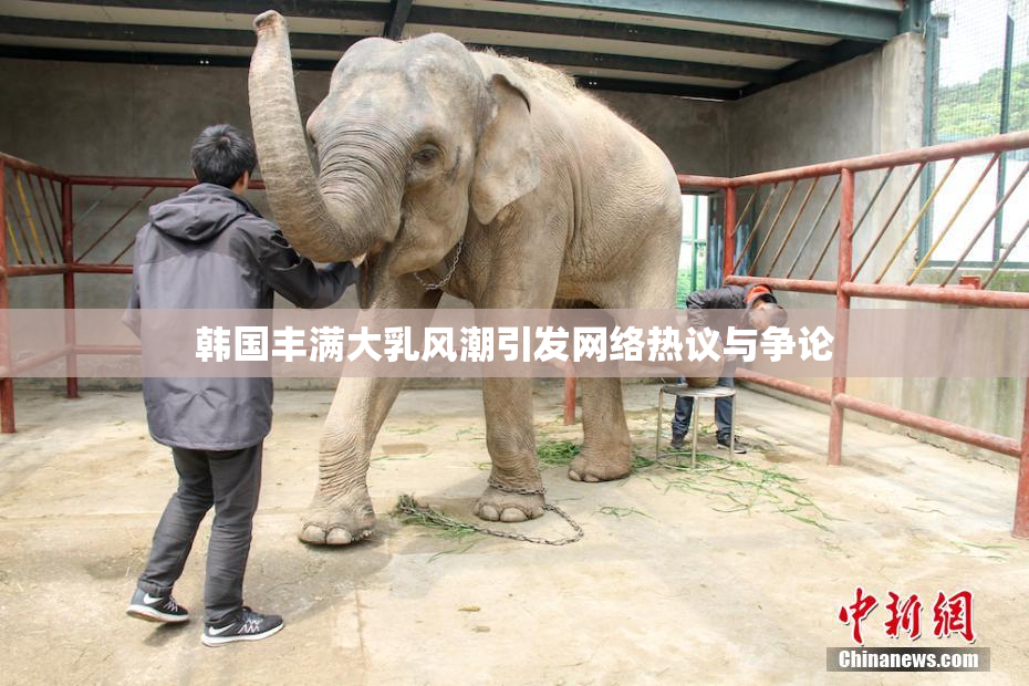 韩国丰满大乳风潮引发网络热议与争论