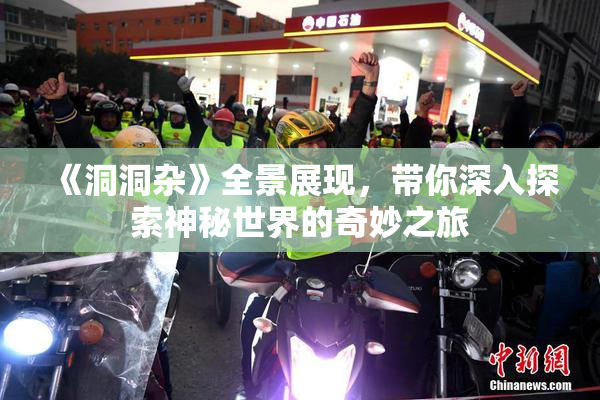 《洞洞杂》全景展现，带你深入探索神秘世界的奇妙之旅