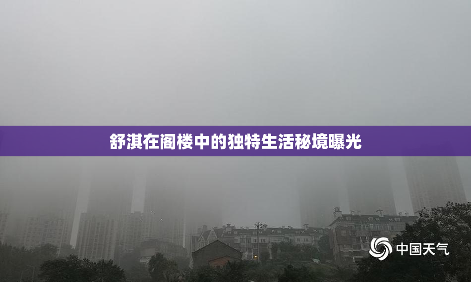 舒淇在阁楼中的独特生活秘境曝光