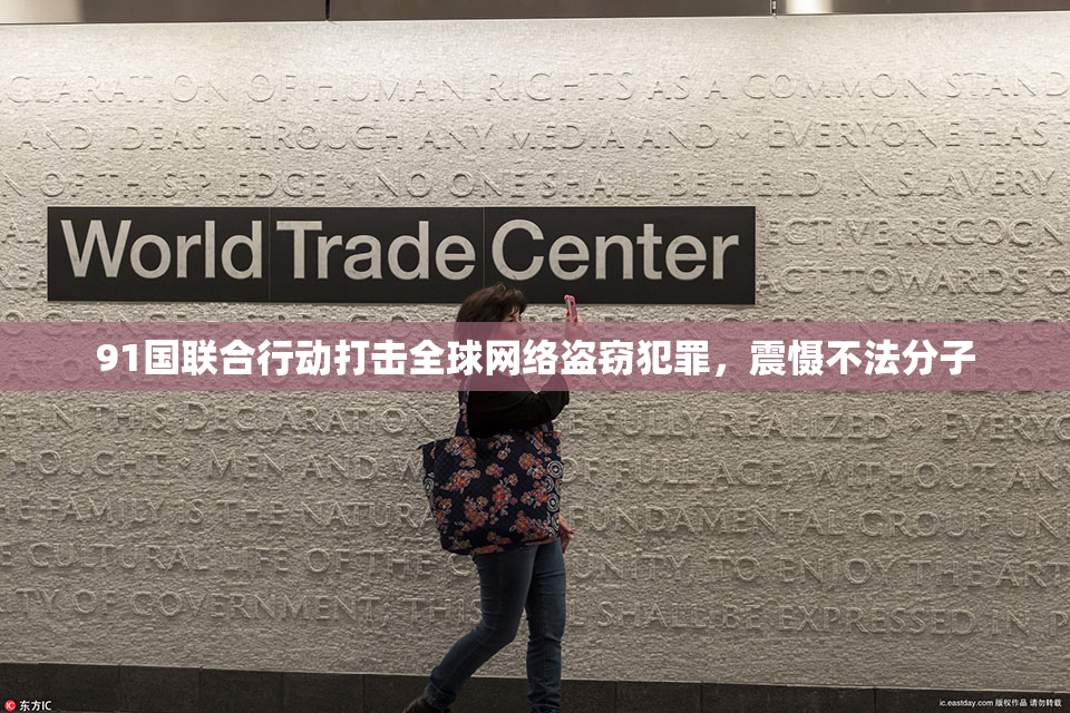 91国联合行动打击全球网络盗窃犯罪，震慑不法分子