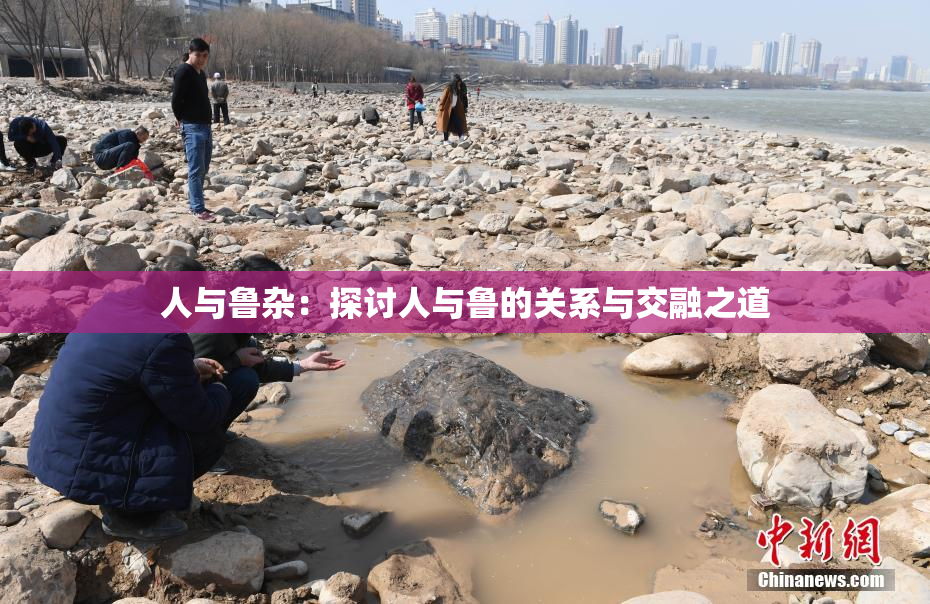 人与鲁杂：探讨人与鲁的关系与交融之道
