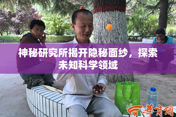 神秘研究所揭开隐秘面纱，探索未知科学领域