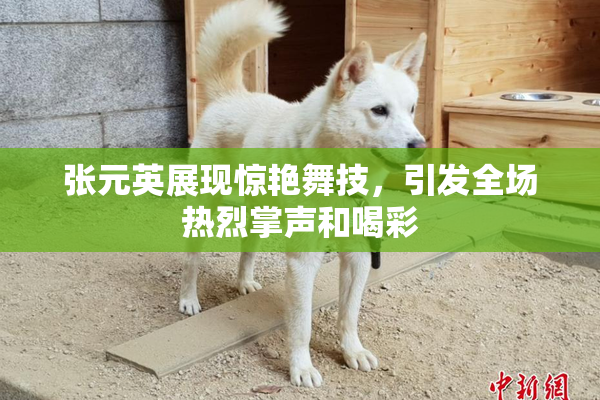 张元英展现惊艳舞技，引发全场热烈掌声和喝彩