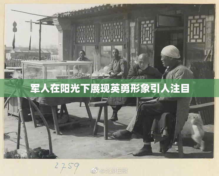 军人在阳光下展现英勇形象引人注目