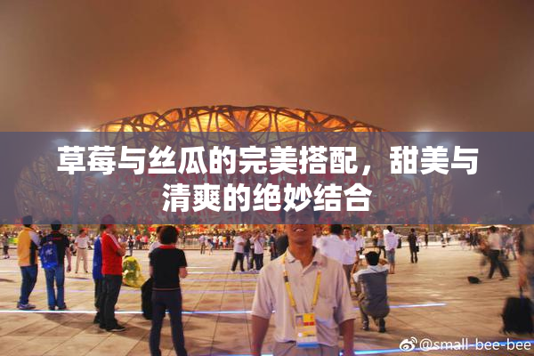 草莓与丝瓜的完美搭配，甜美与清爽的绝妙结合