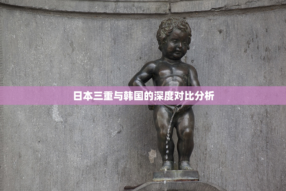 日本三重与韩国的深度对比分析