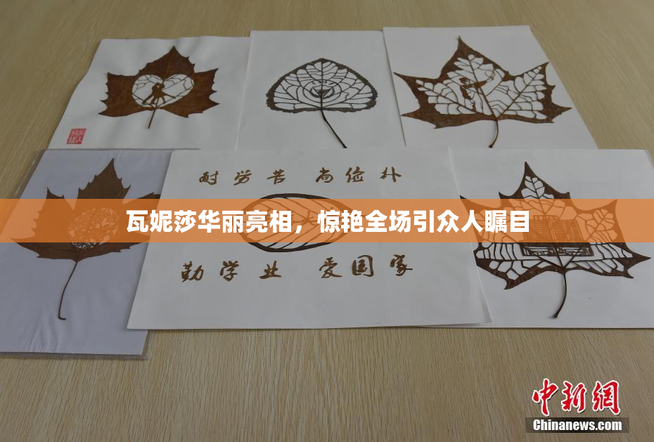 瓦妮莎华丽亮相，惊艳全场引众人瞩目