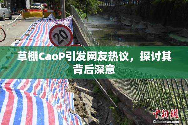 草棚CaoP引发网友热议，探讨其背后深意