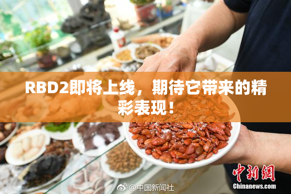 RBD2即将上线，期待它带来的精彩表现！
