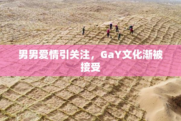 男男爱情引关注，GaY文化渐被接受