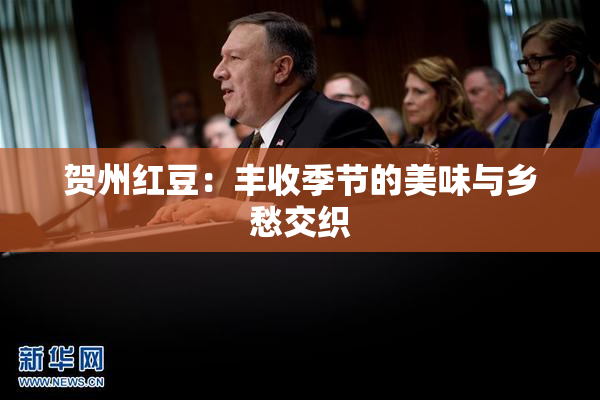 贺州红豆：丰收季节的美味与乡愁交织