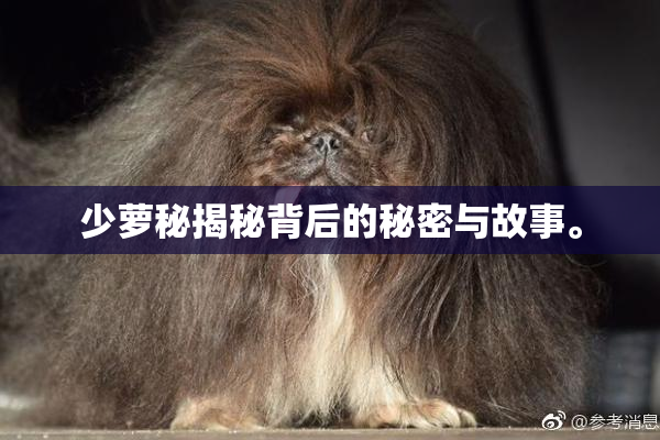 少萝秘揭秘背后的秘密与故事。
