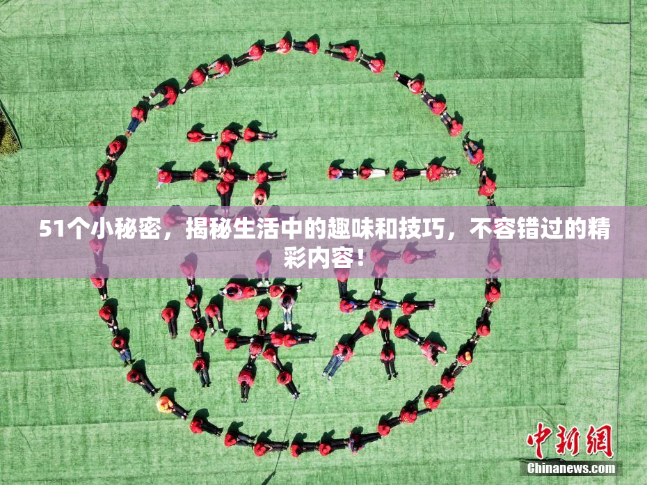 51个小秘密，揭秘生活中的趣味和技巧，不容错过的精彩内容！
