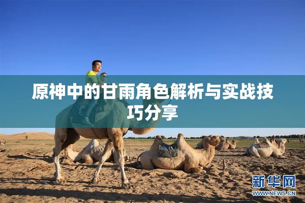原神中的甘雨角色解析与实战技巧分享