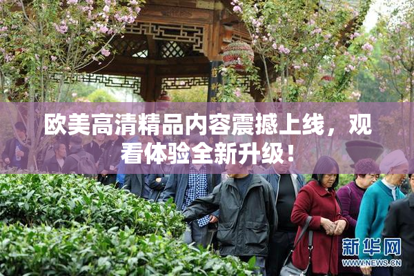 欧美高清精品内容震撼上线，观看体验全新升级！