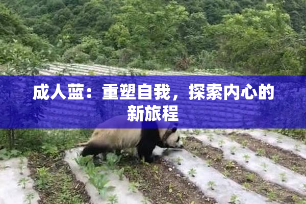 成人蓝：重塑自我，探索内心的新旅程