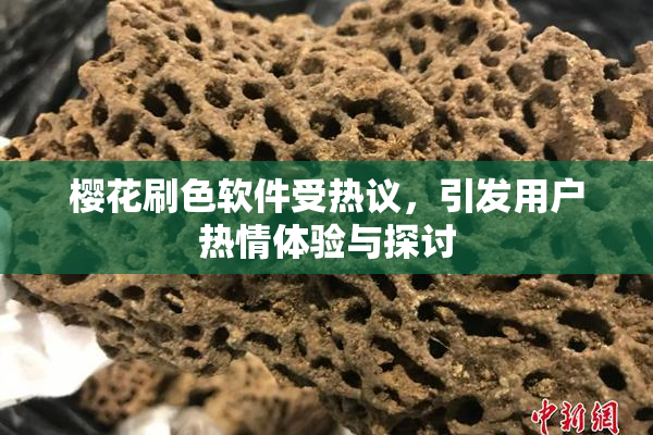 樱花刷色软件受热议，引发用户热情体验与探讨