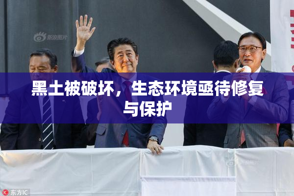 黑土被破坏，生态环境亟待修复与保护