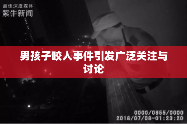 男孩子咬人事件引发广泛关注与讨论